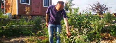 河南淅川：金菊岭上的幸福元素