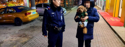 牵“文明绳” 绘“和谐圈”  冰城公安探索文明养犬新解法