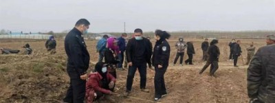 冰城公安：“藏蓝”守护黑土  绘就乡村振兴平安底色