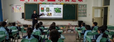 【春雷行动】反诈“童”行！多部门联合送“定制安全课”进校园