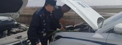 春雷行动：“电”亮归途暖民心 通河公安民警暖心救助抛锚车辆获赞