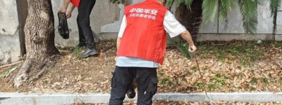 世界地球日：守护绿色家园 东阳平安产险在行动
