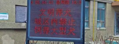 冰城公安喊你“牵绳铲屎”啦！