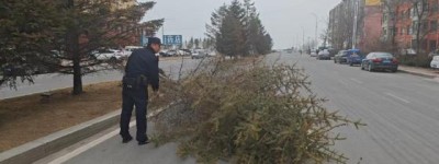 大树倒地拦路 民警紧急处置