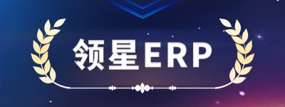 领星ERP荣获“灼耀之星”大奖，企业实力再获权威认可