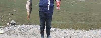 西部风聚鱼多野钓峡江