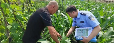 冰城公安：深入踏查 坚决防止非法种植毒品原植物