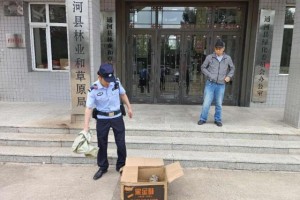 猫头鹰受伤“落难” 民警暖心救助