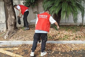 世界地球日：守护绿色家园 东阳平安产险在行动