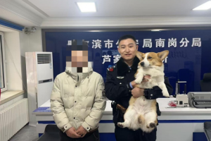 冰城警心护萌宠：三日连助三起“宠物回家记”彰显为民情怀