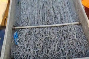 松花江护渔记：从炕头普法到江上收网