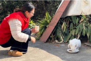 “喵星”驿站：一位平安志愿者的四百天守护日志