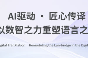 在技术浪潮中求生：语言桥的实践和探索